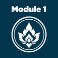 Module 1