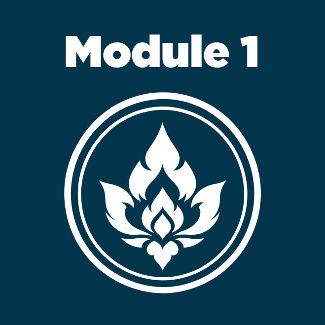 Module 1