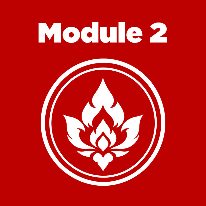 Module 8